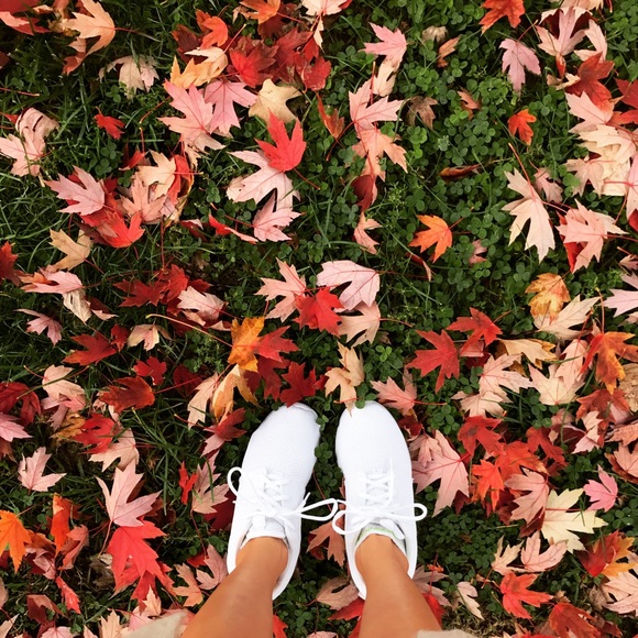 Meet your Posher, Chi - Picture 1 of 1